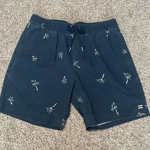 Billabong Swim Trunks